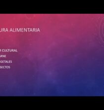 Descubre la fascinante cultura alimentaria: tradiciones, sabores y recetas